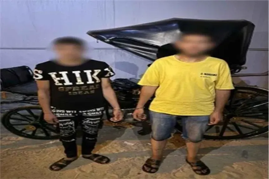 سقوط المتهمين بمحاولة إجبار سائحة على ركوب «حنطور» بالأسكندرية