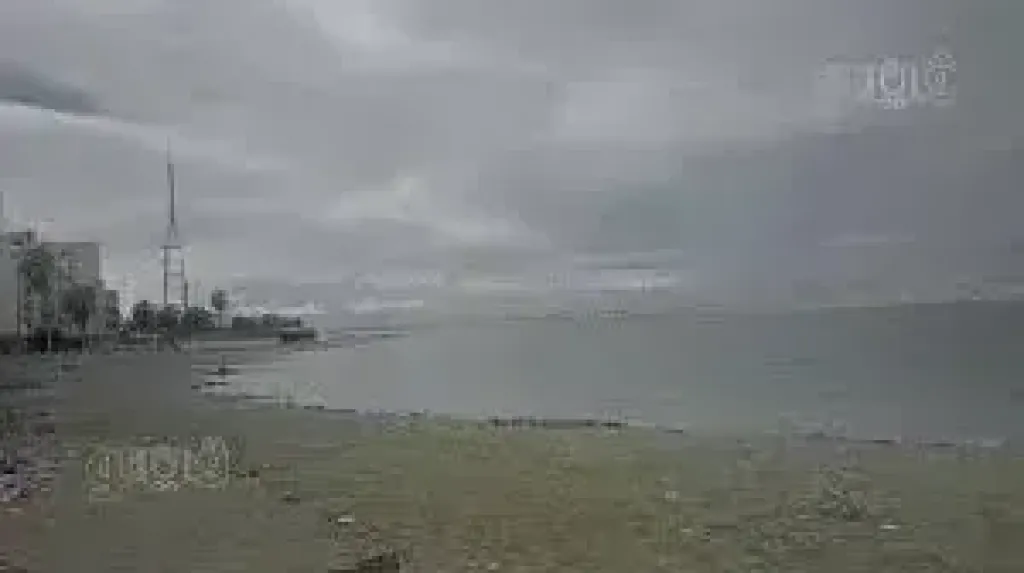 غيوم جزئى واستمرار فرص سقوط الأمطار اليوم الثلاثاء بالغربية