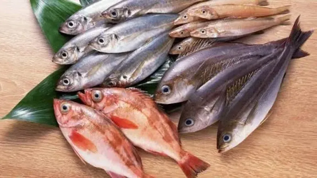 سعر السمك اليوم، ارتفاع 4 أصناف منها البلطي والجمبري وانخفاض 20 جنيها في قشر البياض