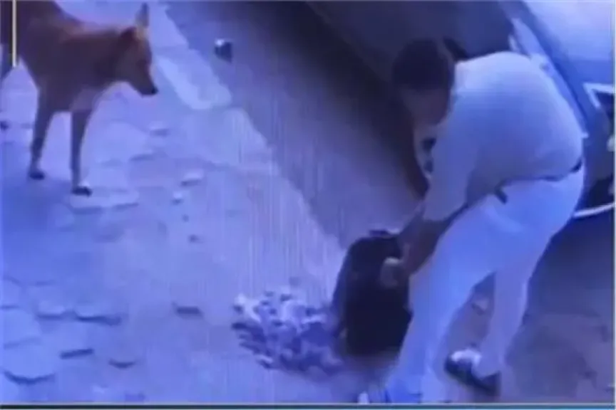 قرار هام بشأن المتهم بتسميم كلاب في حدائق الأهرام