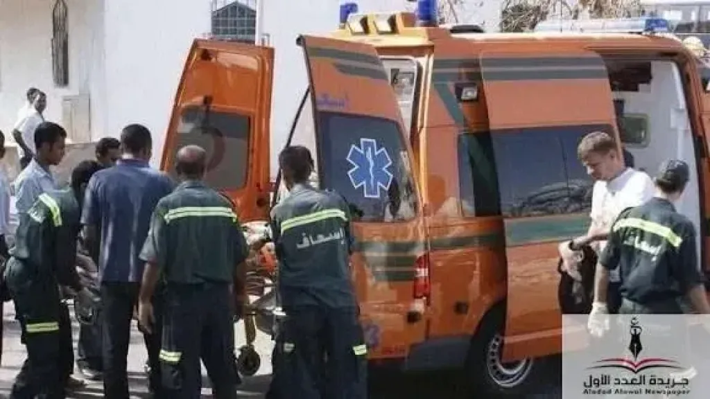 أمن الدقهلية يفحص فيديو عاطل قطع ذراع مواطن حاول الدفاع عن زوجته