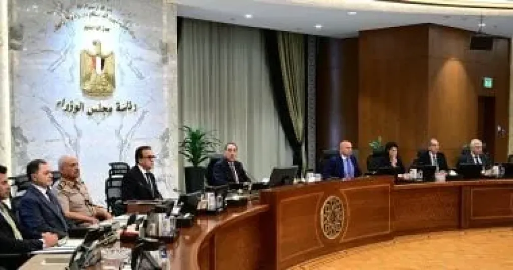 الحكومة: مد الإعفاء من رسوم مقابل ”الجعل” لمدة عام لجميع دول العالم