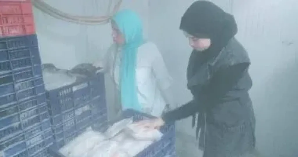 ضبط 1.6 طن سمان مجمد بدون بيانات ولحوم مذبوحة خارج المجازر فى كفر الشيخ