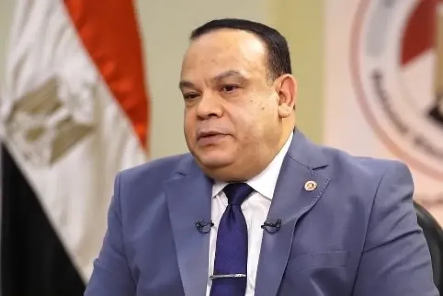 القاضي حازم بدوي رئيس الهيئة الوطنية للانتخابات