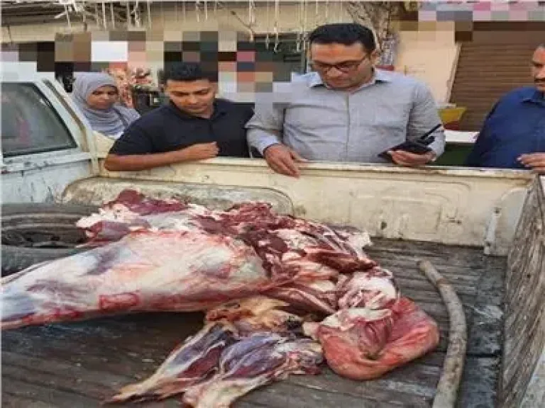الجيزة تضبط 75 طن مصنعات لحوم ودواجن فاسدة خلال شهر