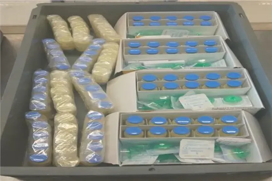 جمارك مطار الاسكندرية تضبط محاولة تهريب كمية من الأدوية البشرية