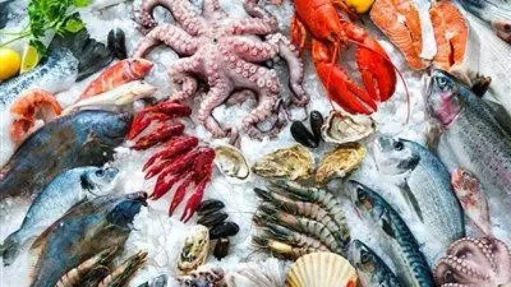 سعر السمك اليوم، ارتفاع الجمبري 30 جنيها والمكرونة 5 والبلطي ”كل يوم بحال”