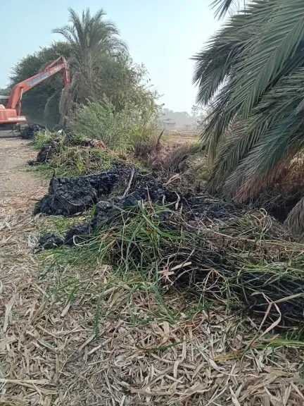 محافظ أسيوط: استمرار حملات تطهير الترع والمصارف لضمان وصول المياه