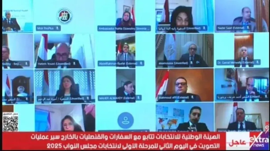 برلمان 2025.. سفراء مصر بالخارج يؤكدون انتظام سير العلمية الانتخابية في اليوم الثاني
