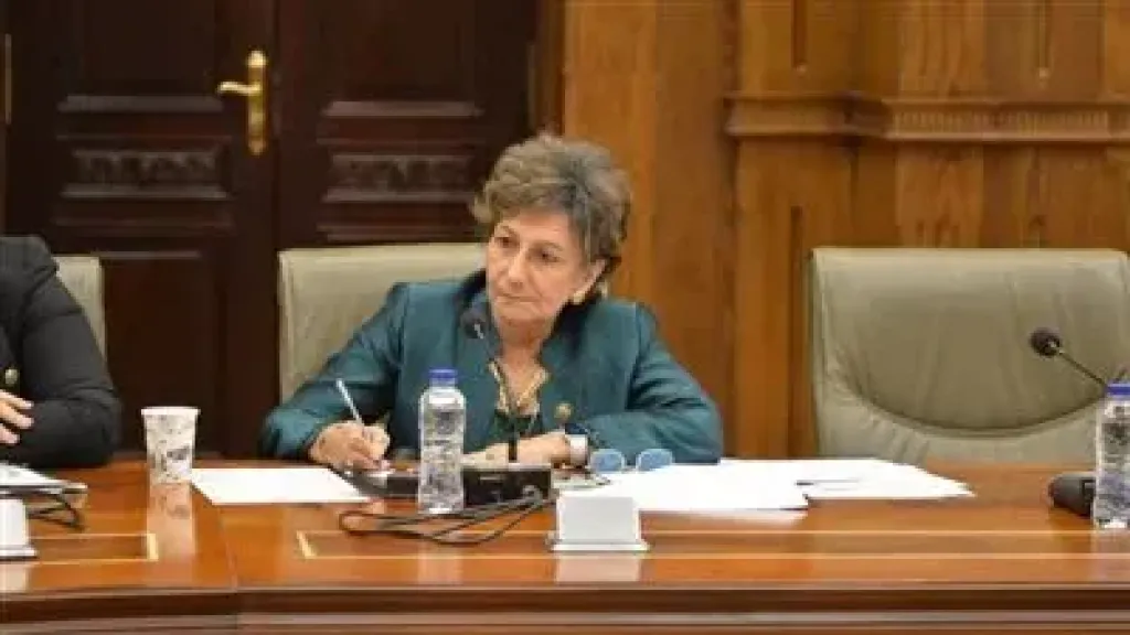 النائبة ندى ثابت: إقبال المصريين بالخارج على صناديق الاقتراع يؤكد وعيهم وثقتهم في بلدهم