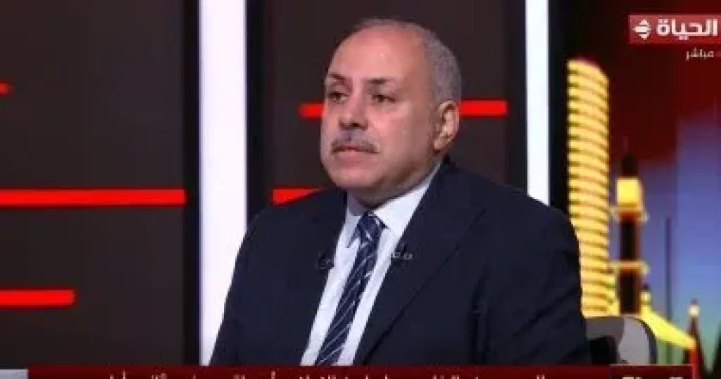 خبير سياسي: تصويت المصريين بالخارج مؤشر على مشاركة داخلية واسعة