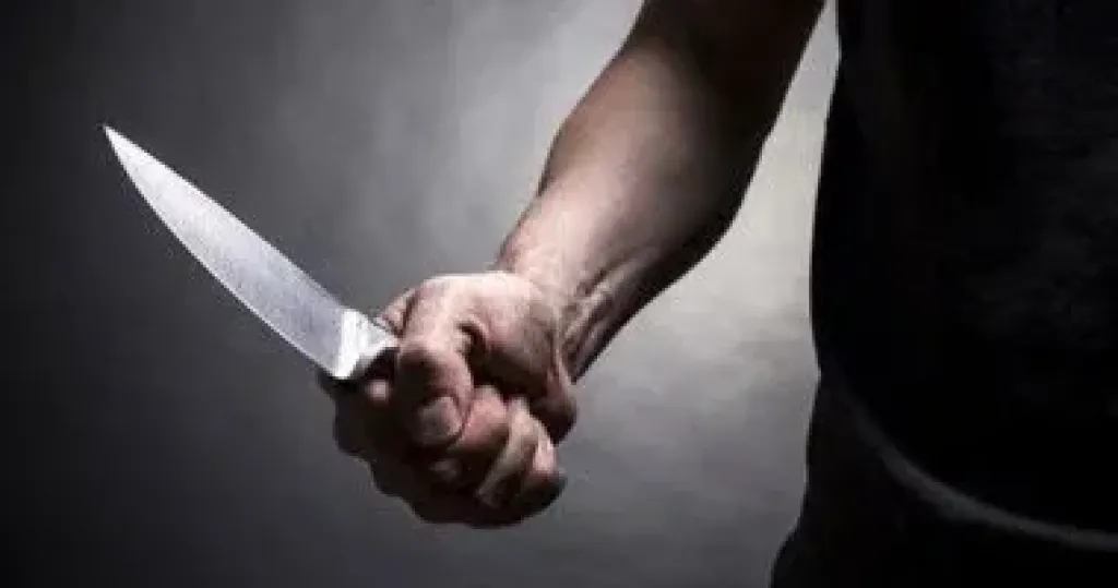 تفاصيل جريمة بشعة فى قرية زنارة بالمنوفية.. عامل يقتل زوجته ونجلها لشكه فى سلوكها