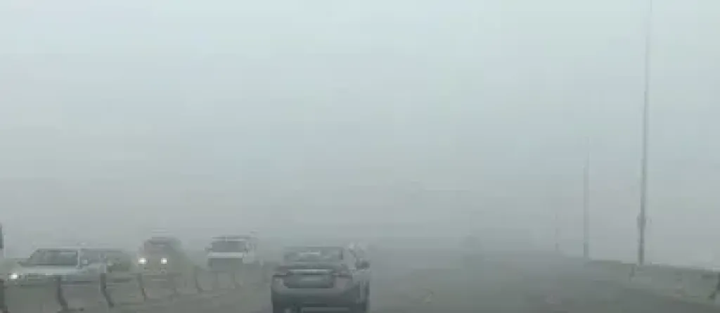 الطقس غدا.. شبورة كثيفة صباحا وأمطار ببعض المناطق والصغرى بالقاهرة 18 درجة