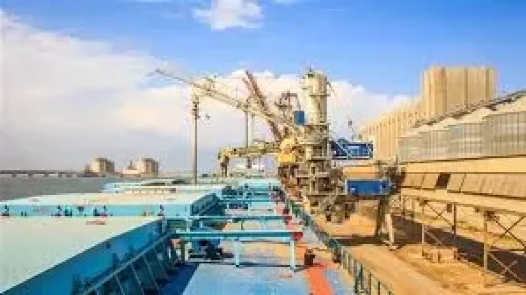 ميناء دمياط يستقبل 11 سفينة خلال 24 ساعة
