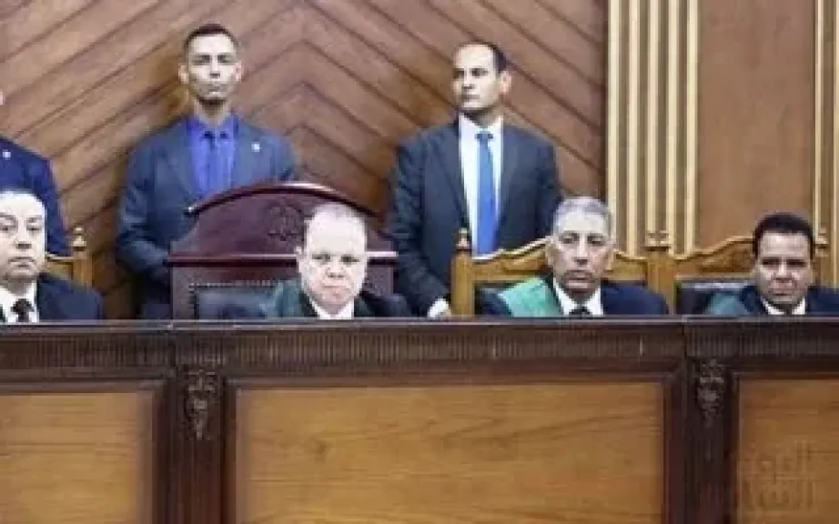 الحكم على 11 متهما بقضية الخلية الإعلامية بعد ساعات