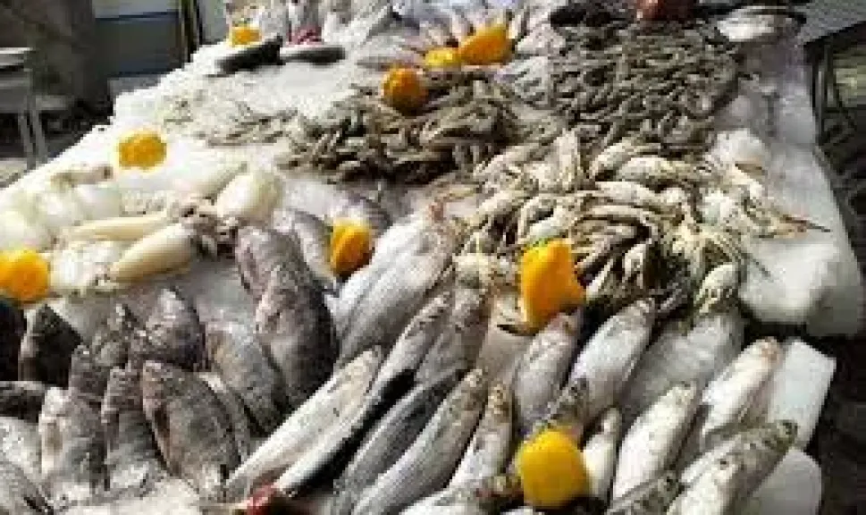 الجمبري يواصل قفزاته السعرية، سعر السمك اليوم الاثنين في سوق العبور