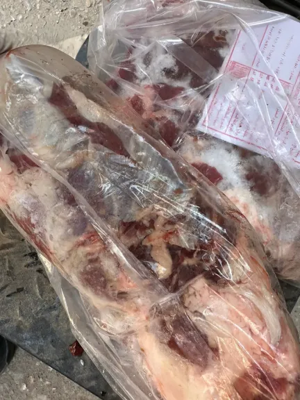 محافظ أسيوط: حملات مكثفة للطب البيطري تضبط 8 آلاف كجم من اللحوم