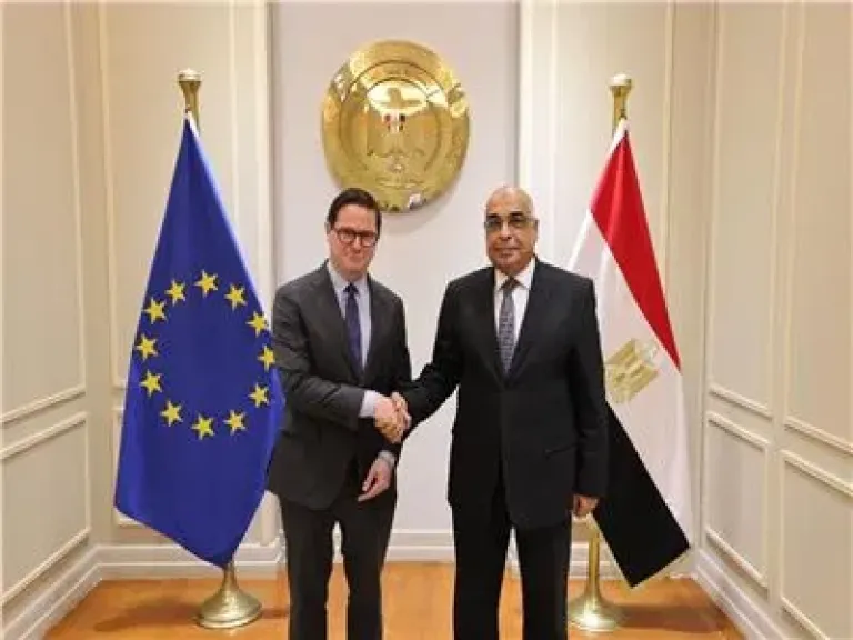 «الأوروبي للتعاون القضائي» يثمن دور مصر في مكافحة الجريمة العابرة للحدود