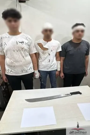 الأمن يكشف ملابسات مشاجرة بالسلاح الأبيض بين عدد من الأشخاص بالدقهلية