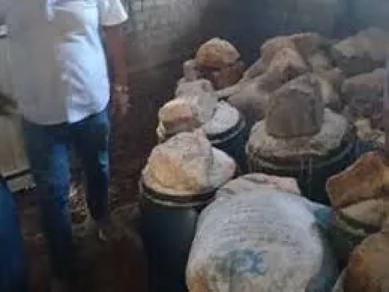 ضبط 12 طن فسيخ غير صالح للاستهلاك الآدمي بفوه في كفر الشيخ