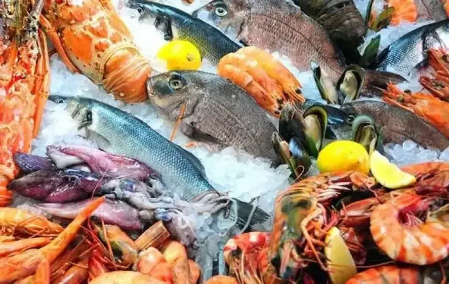 سعار الأسماك والمأكولات البحرية في سوق العبور اليوم