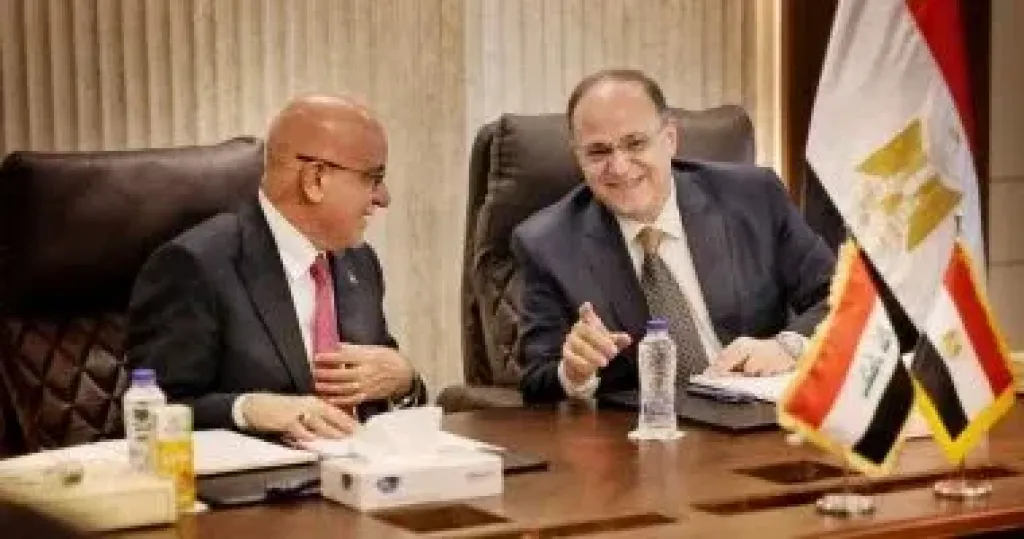 الغمراوى: تبادل الخبرات مع الأشقاء العرب يدعم توحيد المعايير الدوائية