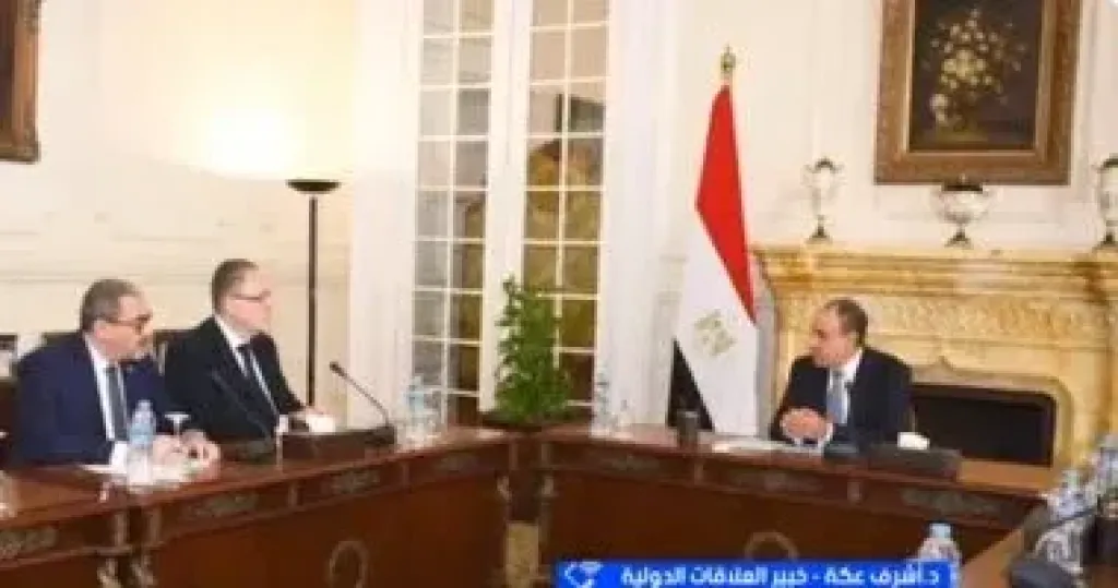 خبير علاقات دولية: الدور المصري محوري لإعادة ترتيب الأوضاع في غزة