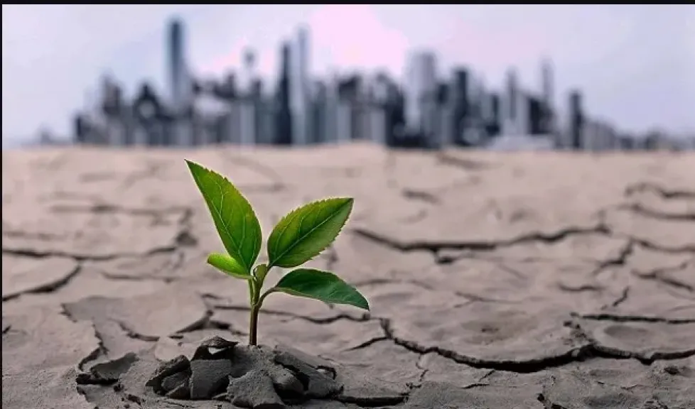 البيئة العالمي: الحروب في أوكرانيا وغزة خلفت تغيرًا مناخيًا جنونيًا