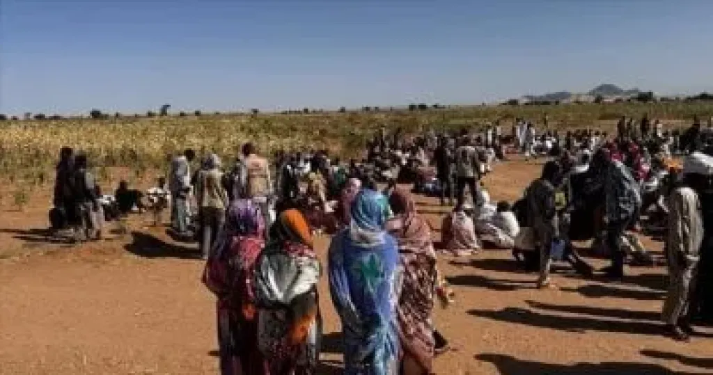 الأمم المتحدة: عشرات الآلاف من نازحى الفاشر فى عداد المفقودين