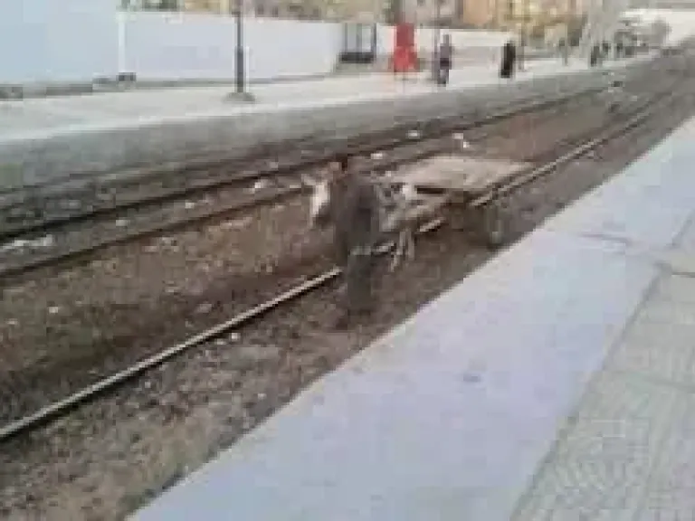 عربة كارو تسير على قضبان السكك الحديدية في الفشن من المسؤول عن هذه الكارثة