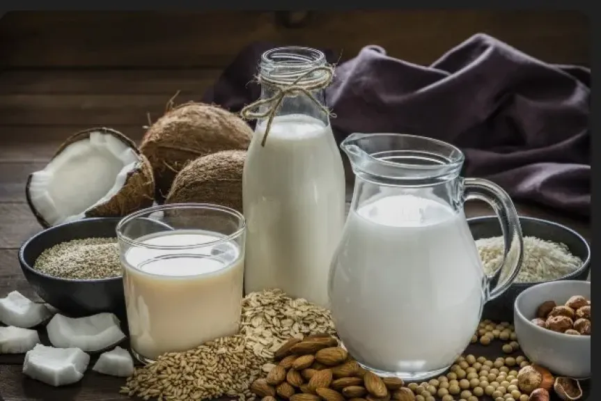 يستخرج من الصويا والشوفان.. الحليب النباتي الأكثر صحة