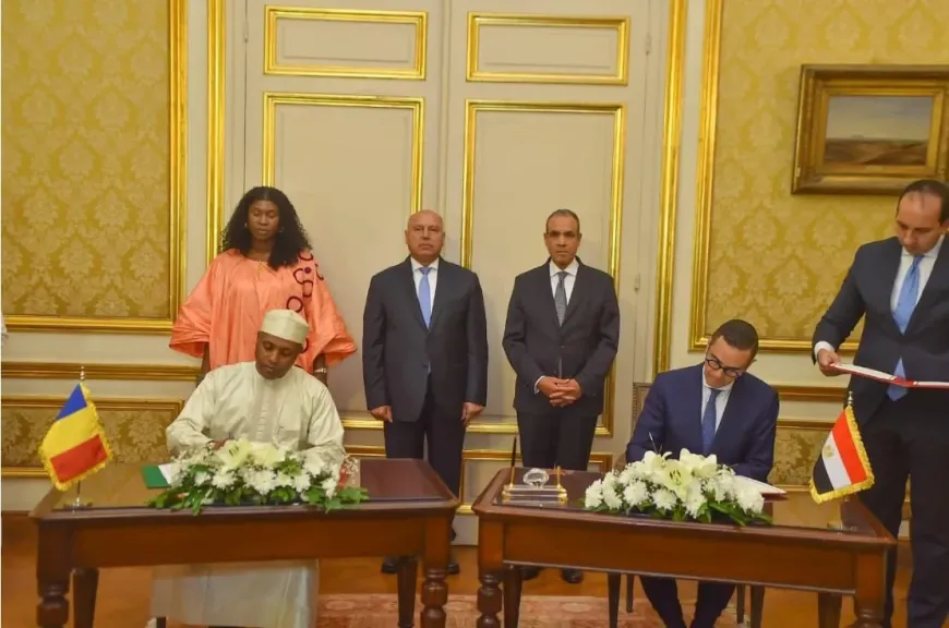 وزير الاستثمار يشارك بجلسة المباحثات الوزارية الموسعة للجنة المشتركة المصرية التشادية