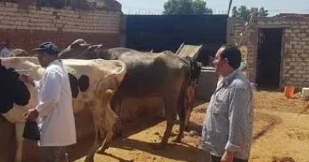 الزراعه تصدر دليلا ب 20 توصية لمربى ومنتجى الثروه الحيوانية والداجنة لمواجهة التقلبات الجويه