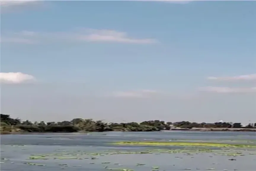 مصرع 3 عناصر إجرامية في تبادل لإطلاق النار مع الشرطة بالغربية