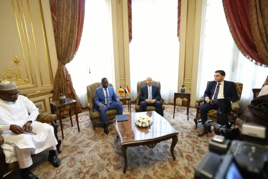 وزير الصناعة والنقل يشارك في اللجنة المصرية التشادية المشتركة  لتعزيز التعاون  في مجالات النقل والصناعة والانتاج الحيوانى
