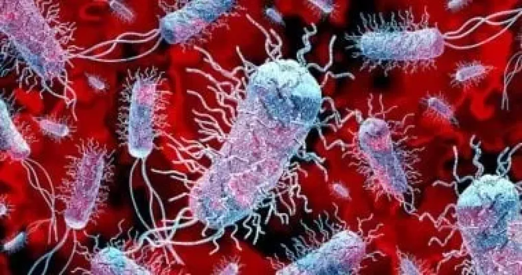 الصحة العالمية: البكتيريا المقاومة للمضادات الحيوية تقتل 10 ملايين شخص 2050