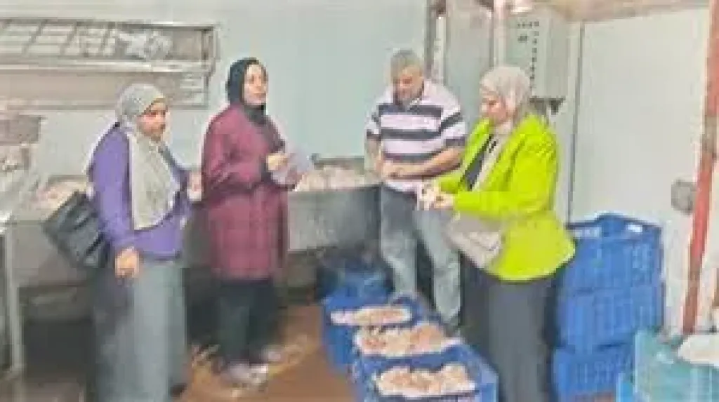 سكر ناقص الوزن ولحوم فاسدة، تموين الفيوم تحرر 50 مخالفة في حملة مكبرة