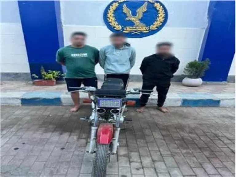 فيديو يفضح 3 لصوص بكفر الشيخ