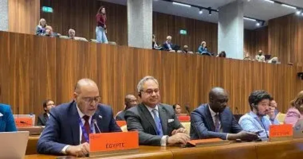 وزير العمل: مصر تؤكد أهمية التوازن الجغرافى فى المناصب القيادية بمنظمة العمل الدولية
