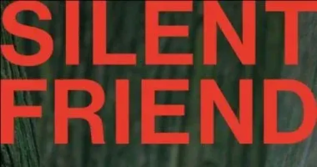 سجادة حمراء لأبطال صديق صامت والرسالة في مهرجان القاهرة اليوم