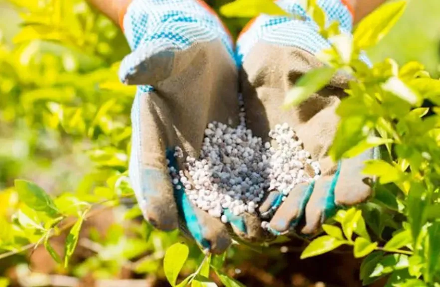 أسعار الأسمدة بالأسواق والجمعيات الزراعية اليوم الخميس 20 نوفمبر