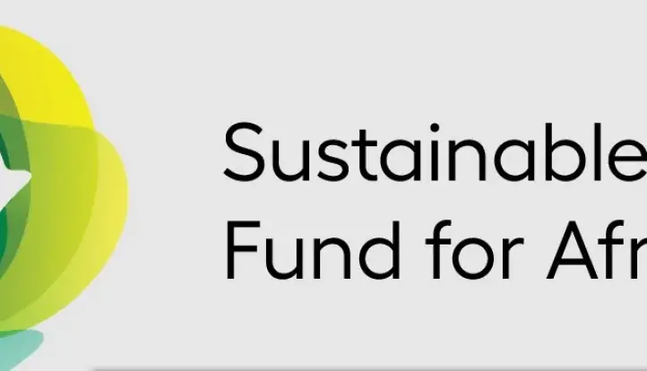 صندوق الطاقة المستدامة لإفريقيا (SEFA) يحشد 50 مليون يورو لمبادرة ”المهمة 300” خلال COP30