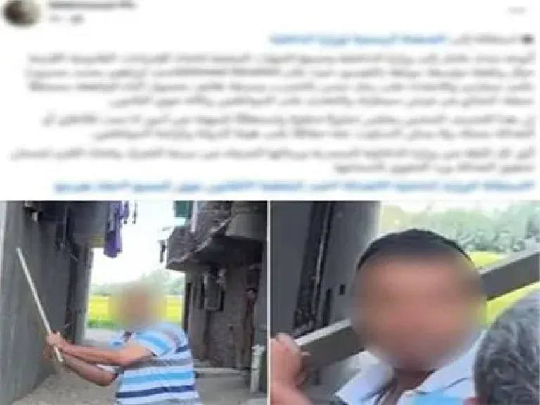 حقيقة تحطيم زجاج سيارة وسرقة «موبايل» بالإسماعيلية