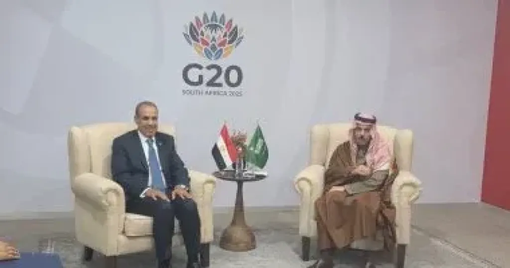 وزير الخارجية يلتقى نظيره السعودى على هامش أعمال قمة مجموعة العشرين