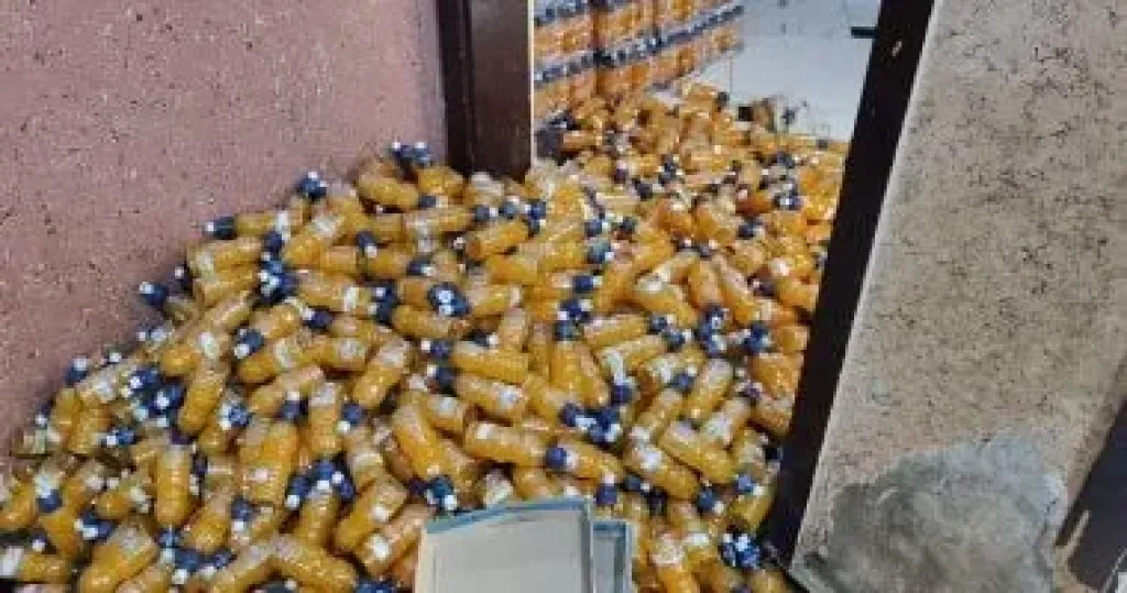 تموين المنوفية: ضبط كيان مخالف بأشمون لإنتاج وتعبئة مشروبات مغشوشة