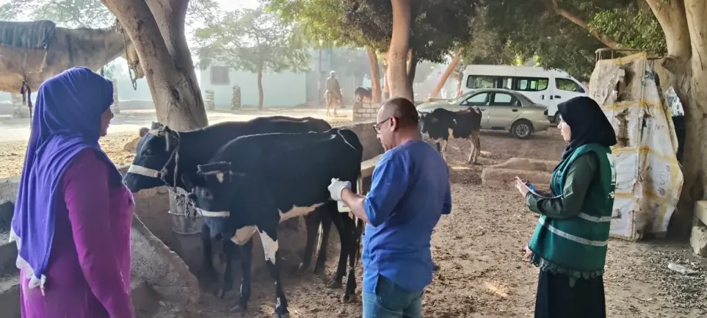 ”الزراعة” تقدم خدمات العلاج والفحص لأكثر من  3300 رأس ماشية بالمجان ضمن أعمال قافلة ”التناسليات الحيوانية” بالمنيا