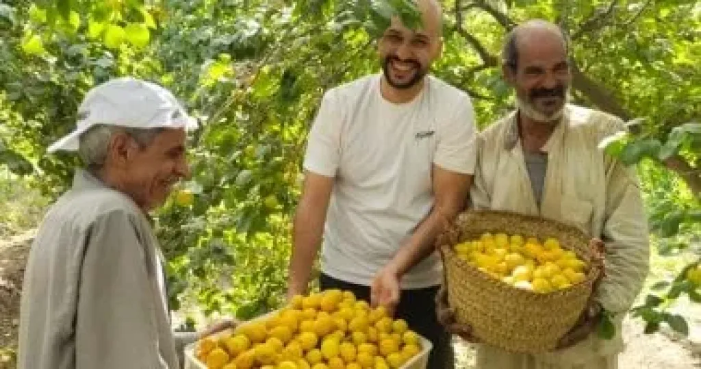 تحذير عاجل من مركز المناخ للمزارعين: موجة رياح قوية غدًا الإثنين