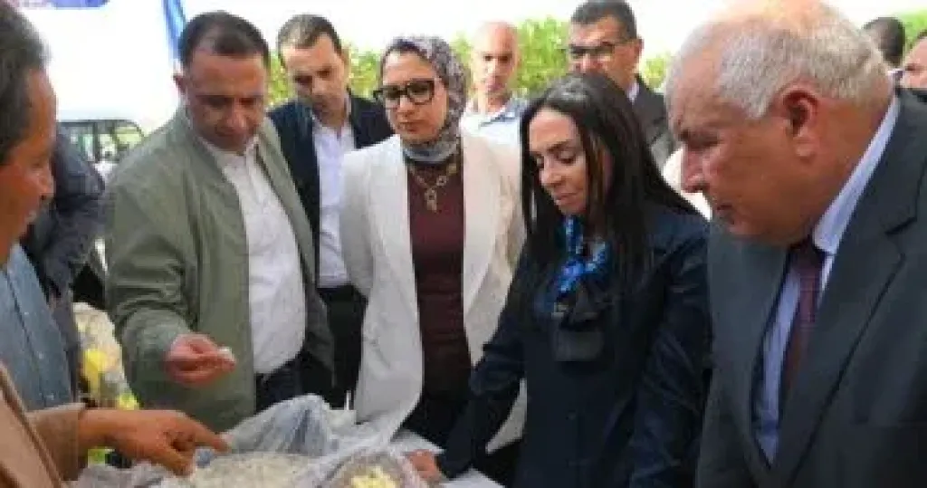 وزيرة التضامن تتفقد مشروع مزرعة الوقف الخيرى بقرية المنيرة بالوادي الجديد