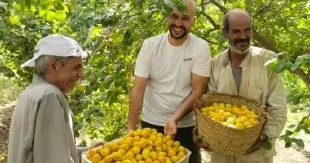 بعد جمع 2.6 مليون طن.. الزراعة تعلن نجاح منظومة تدوير قش الأرز