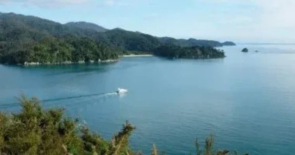 الوصول الأوروبى الأول.. قصة اكتشاف أبل تاسمان لـ نيوزيلندا؟